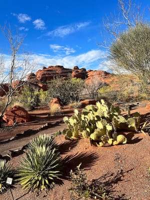 The Garden Park photo 2