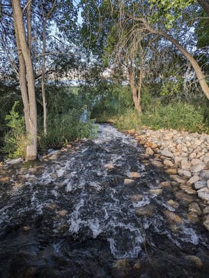 The Springs Community Park photo 2