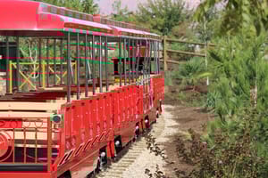 Thunder Junction All Abilities Park