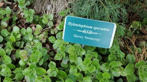 Tooele City Parks & Recreation photo 2