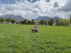 Town Center Meadows Park photo 2