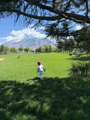 Town Center Meadows Park photo 3