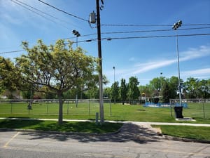 Town Square Park photo 2