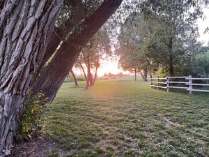 Trapper Park photo 2