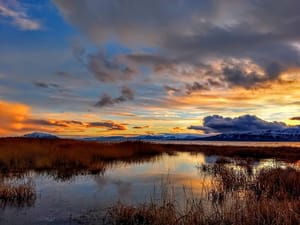 Utah Lake Shore Trail photo 2