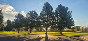 Vae View Park photo 3