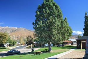 Victory Park photo 3