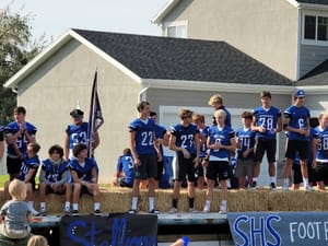 Village Park photo 3