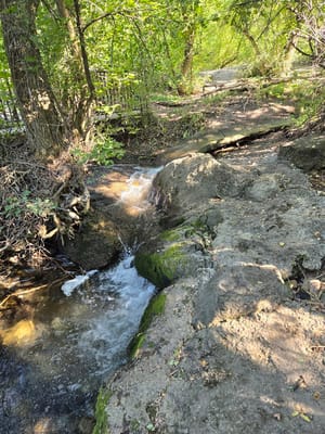 Von Baer Park photo 2