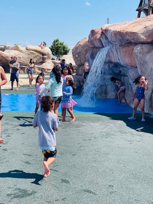 Wardle Fields Regional Park photo 3