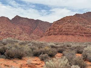 Washington County Legacy Park photo 2