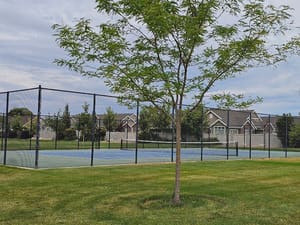 Watercress Park photo 3