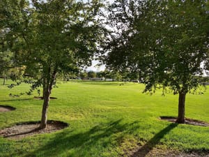 West River Front Park photo 1