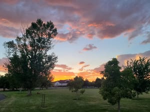 West River Front Park photo 3