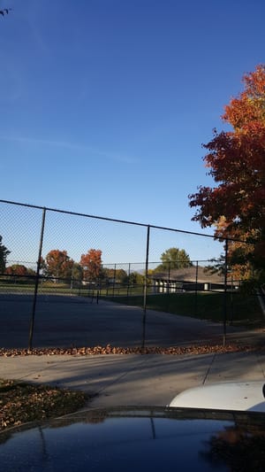 West View Park photo 3