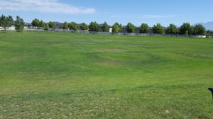 Western Springs Central Park photo 2