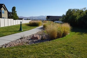 Western Springs Mini Park