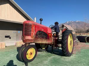 Wheadon Farm Regional Park