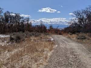 Wilderness Park Trail photo 1