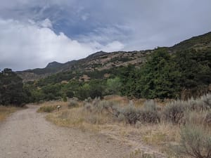 Wilderness Park Trail photo 2