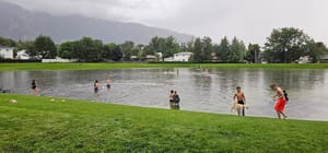 Wildflower Park photo 3