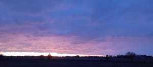 WildWood Park photo 3