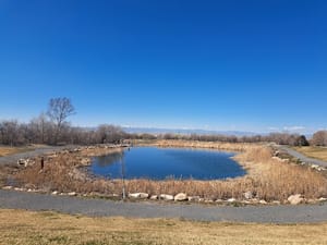 Willard Park photo 2