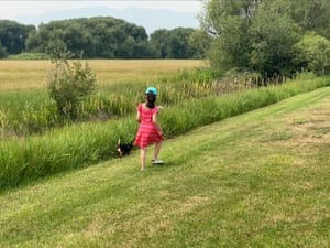 Willard R. Dahle Memorial Park photo 2