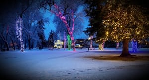 William S. Robinson Park photo 2