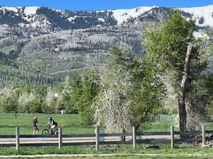 Willow Creek Dog Park photo 2