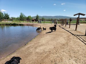 Willow Creek Dog Park photo 3