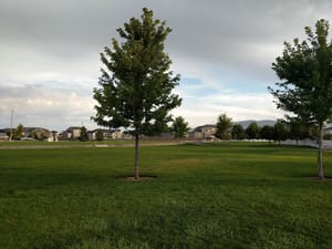 Willow Haven Park