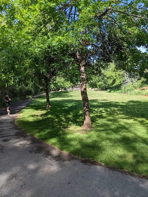 Woodland Park photo 3