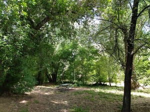 Woodstock Meadows Park photo 2