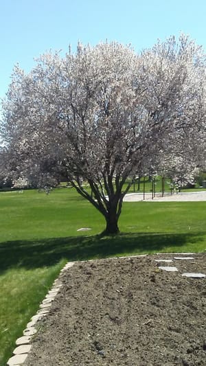 Yorkshire Park photo 3