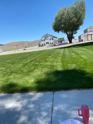 Young Living Splash Pad photo 2