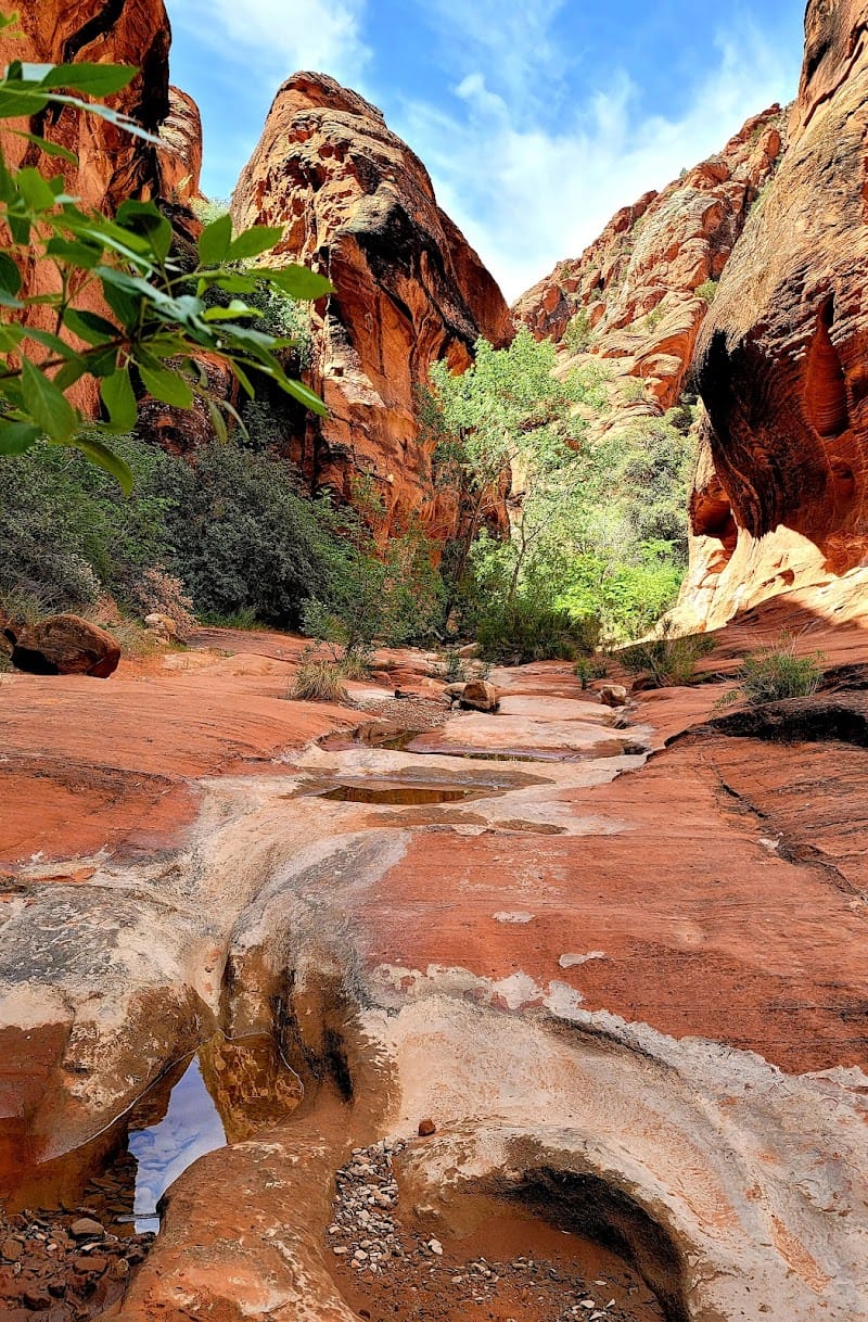 Red Cliffs National Conservation Area